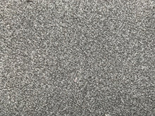Load image into Gallery viewer, Paramount carpet